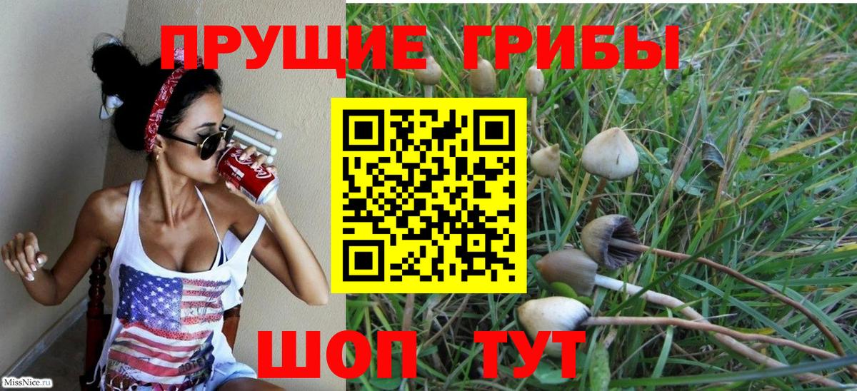 Псилоцибиновые грибы GOLDEN TEACHER Наро-Фоминск
